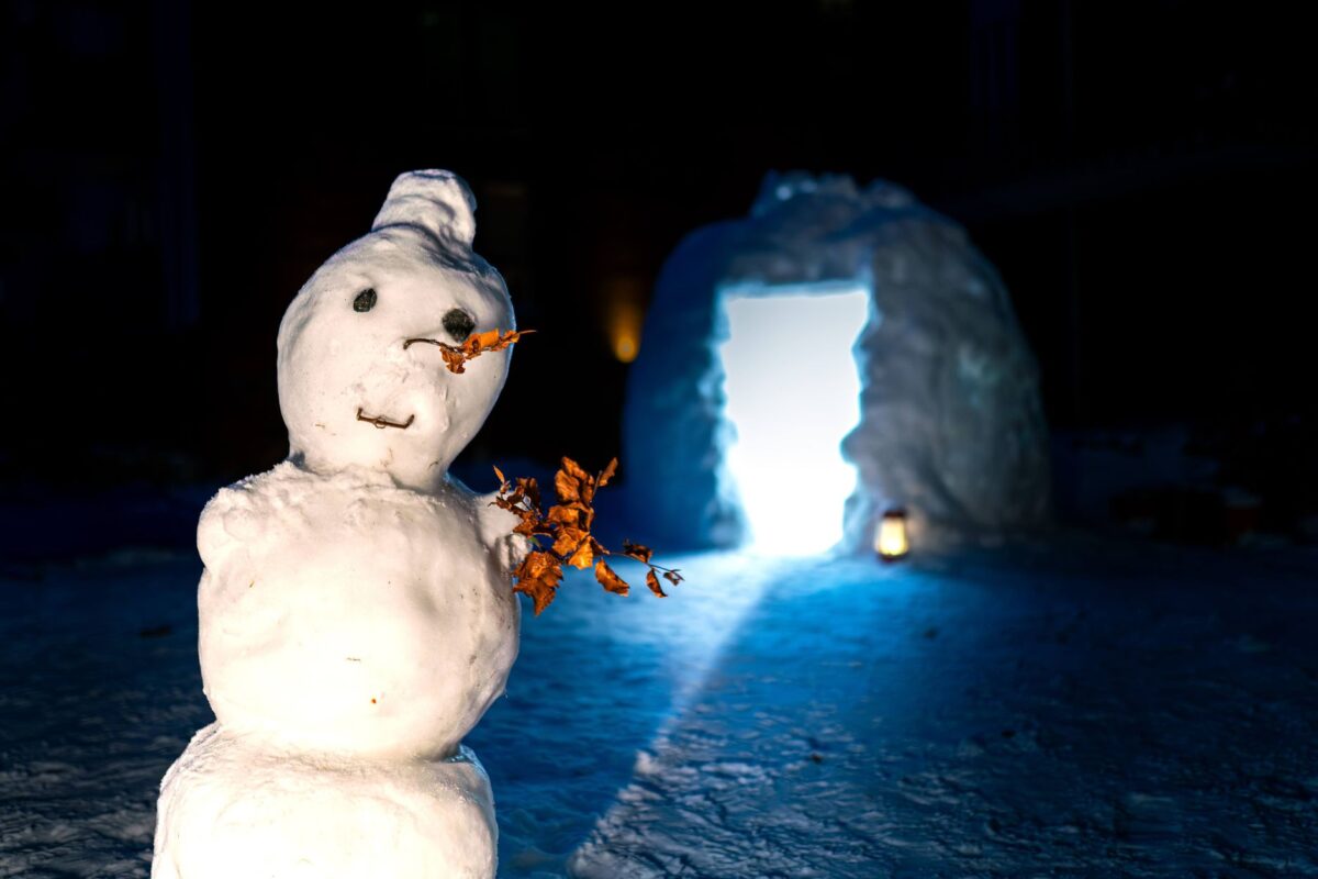codes luxury igloo activer code