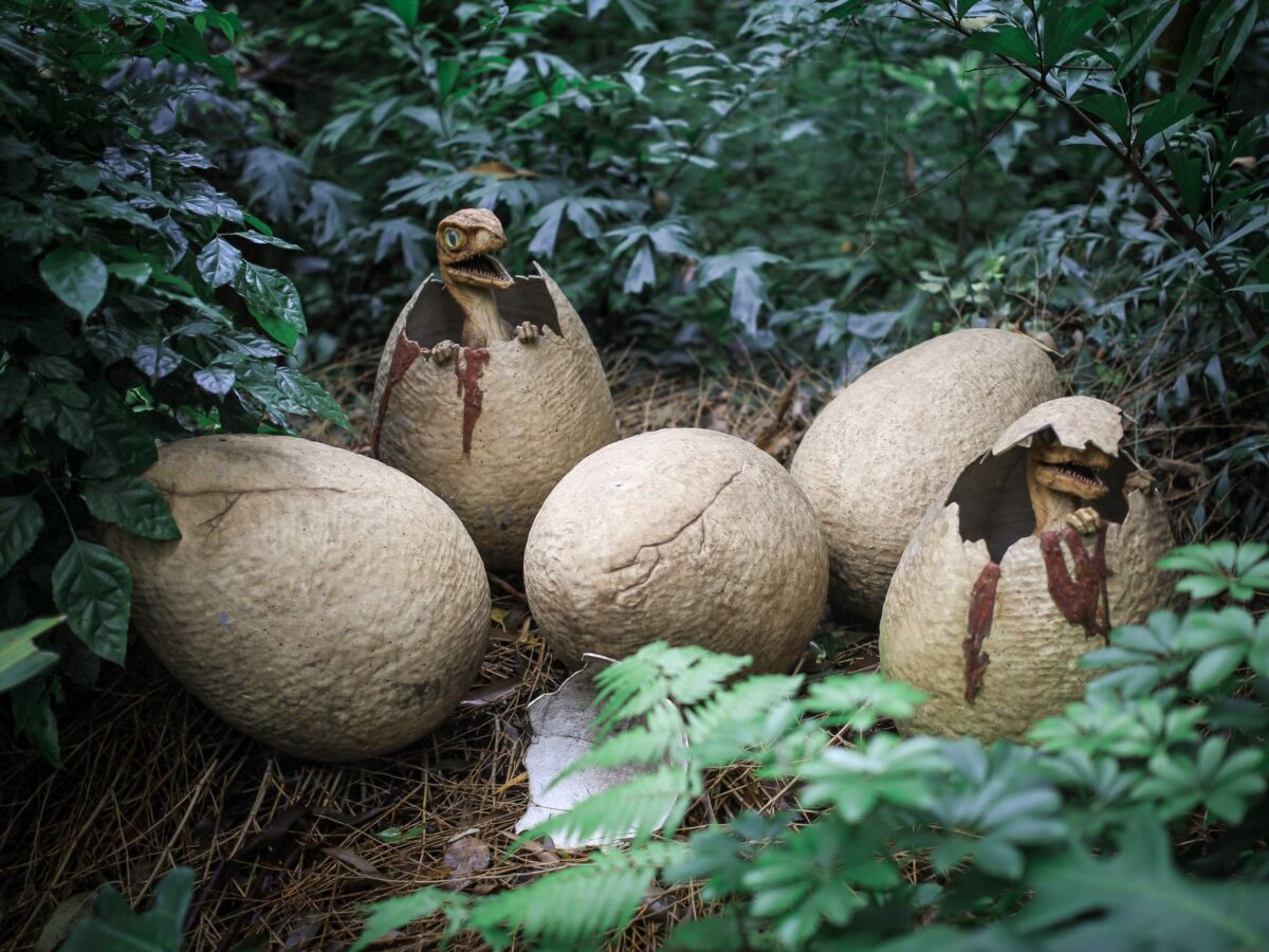 oeufs sinistres palworld accéder arbre monde